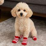 Petshop - Articole imbracaminte - Haine animale - Sosete pentru caini, 4 buc, Dungi rosii-albe, Talpa antialunecare - Infinity.ro