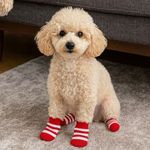 Petshop - Articole imbracaminte - Haine animale - Sosete pentru caini, 4 buc, Dungi rosii-albe, Talpa antialunecare - Infinity.ro