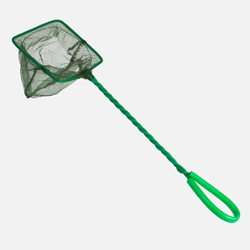 Petshop - Accesorii petshop - Acvaristica si teraristica - Solutii intretinere - Minciog pentru acvariu, verde, rama 10x10 cm, maner 26 cm - Infinity.ro