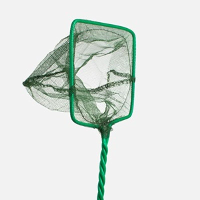 Petshop - Accesorii petshop - Acvaristica si teraristica - Solutii intretinere - Minciog pentru acvariu, verde, rama 10x10 cm, maner 26 cm - Infinity.ro