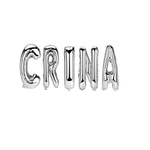 Casa si Gradina - Decoratiuni - Decoratiuni petrecere - Baloane - Set Baloane Litere Nume Crina , Argintiu , 40Cm - Infinity.ro