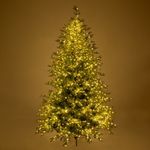 Casa si Gradina - Decoratiuni - Decoratiuni de sezon - Brad artificial Premium Highlands cu lumini, 8 functii, 3000 LED, 240 cm, cablu cupru, verde - Infinity.ro
