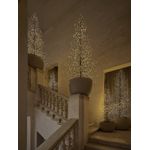 Casa si Gradina - Decoratiuni - Decoratiuni de sezon - Brad decorativ Albero Faggio, 1440 MicroLED, 150 cm, IP44, exterior/interior, negru - Infinity.ro