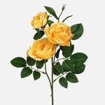 Casa si Gradina - Decoratiuni - Obiecte decorative - Plante artificiale - Camelie galbena 3 flori 63cm - Buchet floral elegant pentru cadou - Infinity.ro