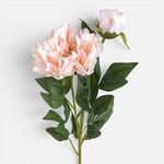 Casa si Gradina - Decoratiuni - Obiecte decorative - Plante artificiale - Floare Artificiale Bujor Roz 70cm pentru Decor - Infinity.ro