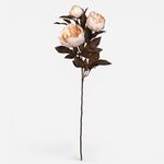 Casa si Gradina - Decoratiuni - Obiecte decorative - Plante artificiale - Buchet de flori toamna cu rozete crem, bujure 72cm - Infinity.ro