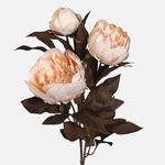 Casa si Gradina - Decoratiuni - Obiecte decorative - Plante artificiale - Buchet de flori toamna cu rozete crem, bujure 72cm - Infinity.ro