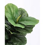 Casa si Gradina - Decoratiuni - Obiecte decorative - Plante artificiale - Ficus artificial 72 frunze 55x45x120 cm - Infinity.ro