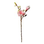 Casa si Gradina - Decoratiuni - Obiecte decorative - Plante artificiale - Magnolie artificiala multicolora 17x11x70 cm - Infinity.ro