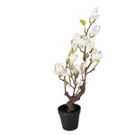 Casa si Gradina - Decoratiuni - Obiecte decorative - Plante artificiale - Magnolie alba artificiala in ghiveci 16x14x60 cm - Infinity.ro