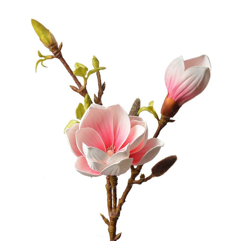Casa si Gradina - Decoratiuni - Obiecte decorative - Plante artificiale - Magnolie artificiala multicolora 17x11x70 cm - Infinity.ro