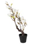 Casa si Gradina - Decoratiuni - Obiecte decorative - Plante artificiale - Magnolie alba artificiala in ghiveci 16x14x60 cm - Infinity.ro