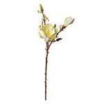 Casa si Gradina - Decoratiuni - Obiecte decorative - Plante artificiale - Magnolie artificiala galbena maro 17x11x70 cm - Infinity.ro