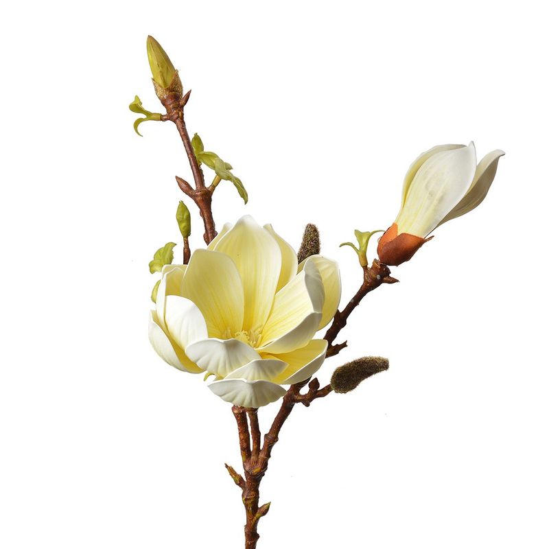 Casa si Gradina - Decoratiuni - Obiecte decorative - Plante artificiale - Magnolie artificiala galbena maro 17x11x70 cm - Infinity.ro