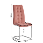 Casa si Gradina - Mobilier - Scaune si fotolii - Scaune - Scaun tapiterie catifea roz picioare crom Saloma 42x56.5x105 cm - Infinity.ro
