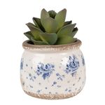 Casa si Gradina - Gradinarit si plante - Plante si ghivece - Ghivece si suporturi - Ghiveci flori ceramica bej albastra 12x10 cm - Infinity.ro