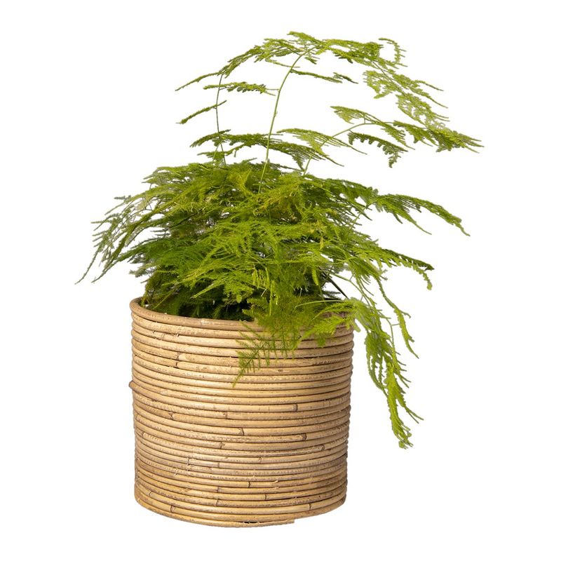 Casa si Gradina - Gradinarit si plante - Plante si ghivece - Ghivece si suporturi - Ghiveci rattan maro 26x22 cm - Infinity.ro