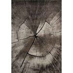 Casa si Gradina - Textile si covoare - Covoare - Covoare casa - Covor Merinos, Ibiza 605 95, 120 x 170 cm - Infinity.ro