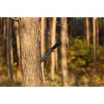 Sport si Outdoor - Camping - Cutite, bricege si accesorii - Cutite si bricege - Cutit de vanatoare IdeallStore®, Survival Spirit, otel inoxidabil, amnar, 30.5 cm, negru, teaca inclusa - Infinity.ro