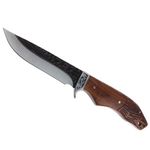 Sport si Outdoor - Camping - Cutite, bricege si accesorii - Cutite si bricege - Cutit de vanatoare IdeallStore®, Lion Blade, 25 cm, otel inoxidabil, maro, teaca inclusa - Infinity.ro