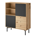 Casa si Gradina - Mobilier - Biblioteci si rafturi - Etajere - Etajera FR 102, stejar artisan/negru, FORSO - Infinity.ro