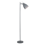 Casa si Gradina - Corpuri si surse de iluminat - Veioze si lampi - Lampadare - Lampa de podea, gri / metal, AIDEN TIP 2 - Infinity.ro