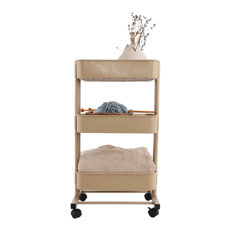 Casa si Gradina - Mobilier - Biblioteci si rafturi - Etajere - Etajera mobila, sampanie, VERNON - Infinity.ro