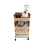 Casa si Gradina - Mobilier - Biblioteci si rafturi - Etajere - Etajera mobila, sampanie, VERNON - Infinity.ro