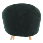 Casa si Gradina - Mobilier - Scaune si fotolii - Scaune - Scaun dining, smarald, FLUFFY - Infinity.ro