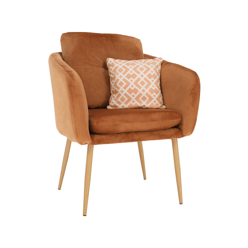 Casa si Gradina - Mobilier - Scaune si fotolii - Fotolii - Fotoliu design, tesatura din catifea teracota, AVETA - Infinity.ro