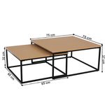 Casa si Gradina - Mobilier - Mese si birouri - Masute de cafea - Set de doua masute de cafea, fag/negru, KASTLER TIPUL 1 - Infinity.ro