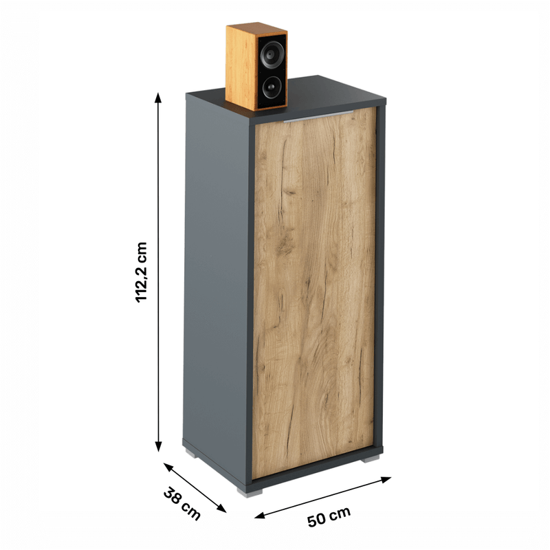 Casa si Gradina - Mobilier - Dulapuri si sifoniere - Dulapuri - Dulap, grafit/stejar artisan, RIOMA NEW TYP 10 - Infinity.ro