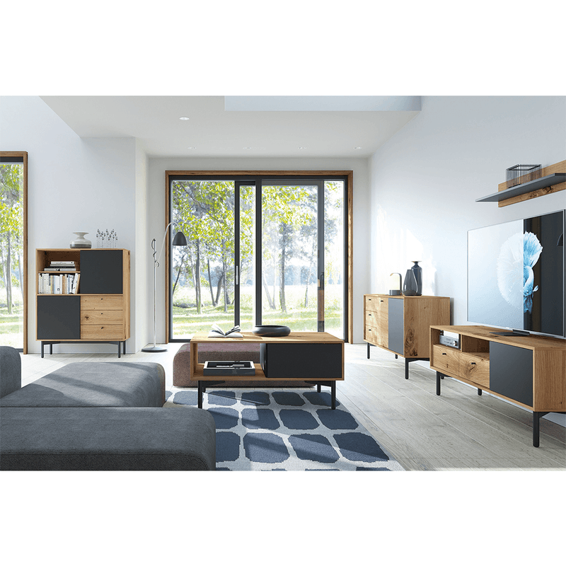 Casa si Gradina - Mobilier - Biblioteci si rafturi - Etajere - Etajera FR 102, stejar artisan/negru, FORSO - Infinity.ro
