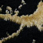 Casa si Gradina - Textile si covoare - Covoare - Covoare casa - Covor MERINOS Craft Deluxe 23438 975, 80 x 300 cm, densitate covor 2,5 KG/m², grosime covor 12 mm, numar noduri pe m² 625000 - Infinity.ro