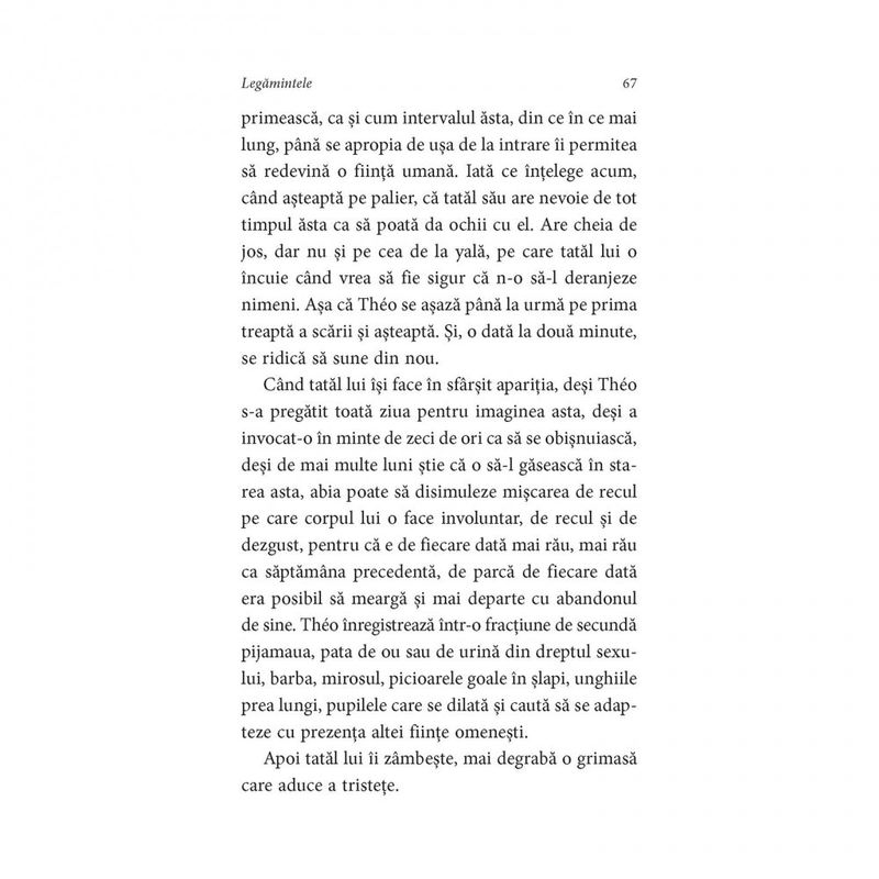 Carti si Birotica - Carti - Fictiune - Legamintele - Delphine de Vigan, ed 2019 - Infinity.ro