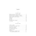 Carti si Birotica - Carti - Fictiune - Un roman intr-o gara mica - Kocsis Francisko - Infinity.ro