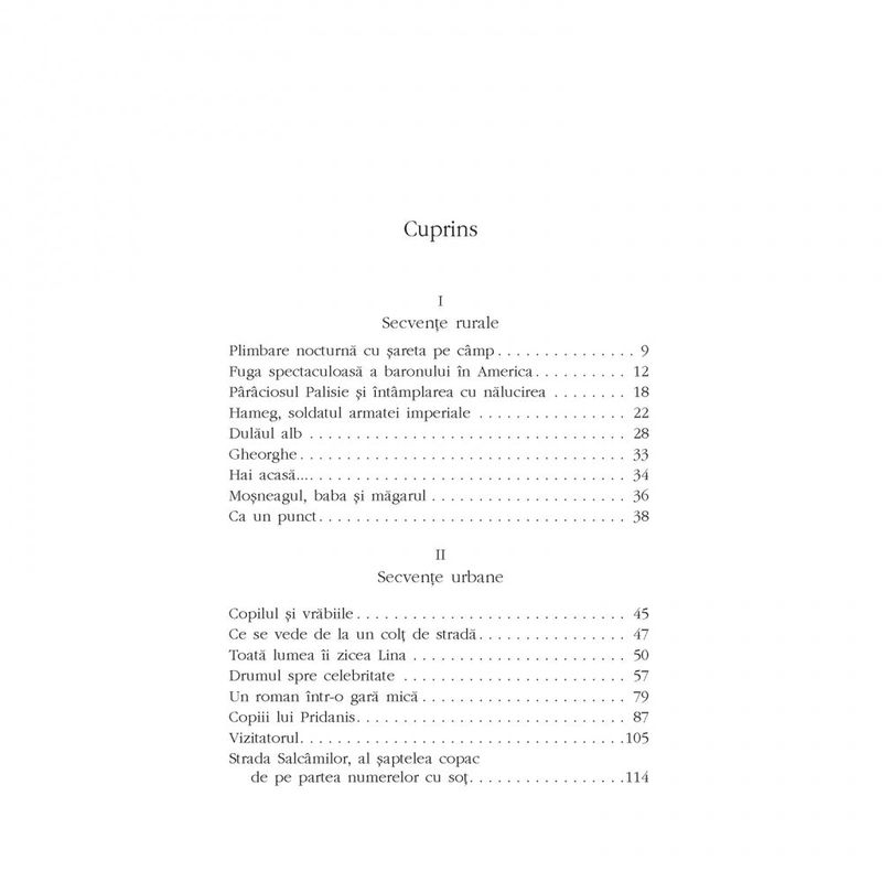 Carti si Birotica - Carti - Fictiune - Un roman intr-o gara mica - Kocsis Francisko - Infinity.ro