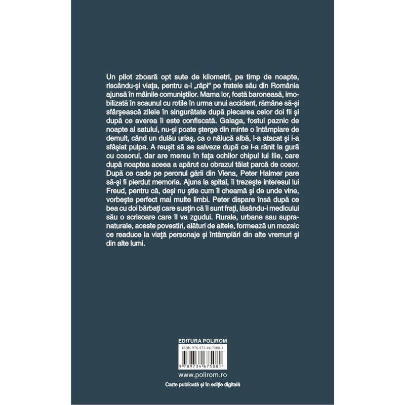 Carti si Birotica - Carti - Fictiune - Un roman intr-o gara mica - Kocsis Francisko - Infinity.ro