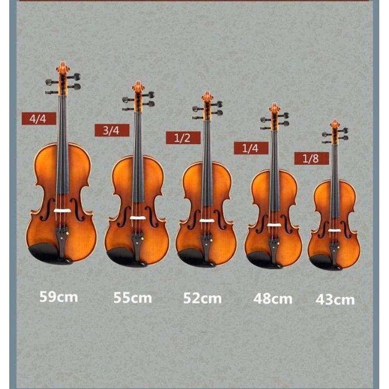 TV, Audio-Video si Foto - Instrumente muzicale - Instrumente clasice - Vioara clasica din lemn 3/4 toc inclus + set corzi cadou - Infinity.ro