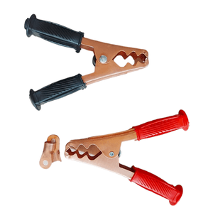 Auto si Moto - Electrice auto - Baterii auto - Infinity.ro