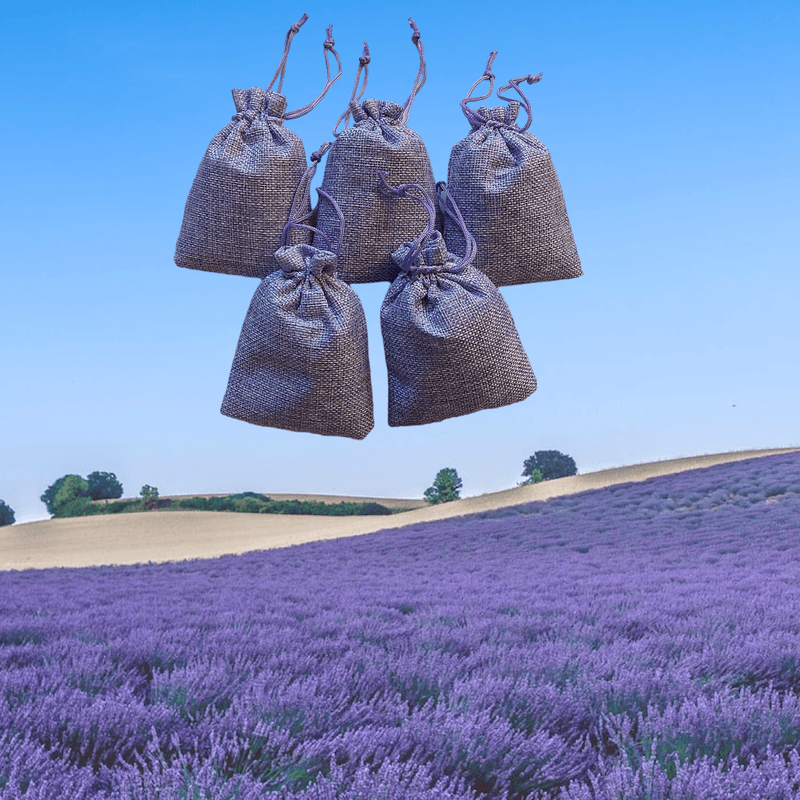 Casa si Gradina - Decoratiuni - Aromaterapie si lumanari - Odorizante camera - Set 5 saculeti, cu lavanda, textili, mov, 5x25 grame - Infinity.ro