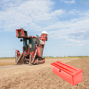 Casa si Gradina - Gradinarit si plante - Agricultura - Infinity.ro