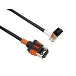 Auto si Moto - Electrice auto - Iluminare si semnalizare - Becuri auto - Cablu conector bec xenon D1S D1R - Infinity.ro