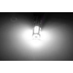 Auto si Moto - Electrice auto - Iluminare si semnalizare - Becuri auto - Set de 2 Becuri led T10 Xentech Light W5W 57 smd 3014 - Infinity.ro
