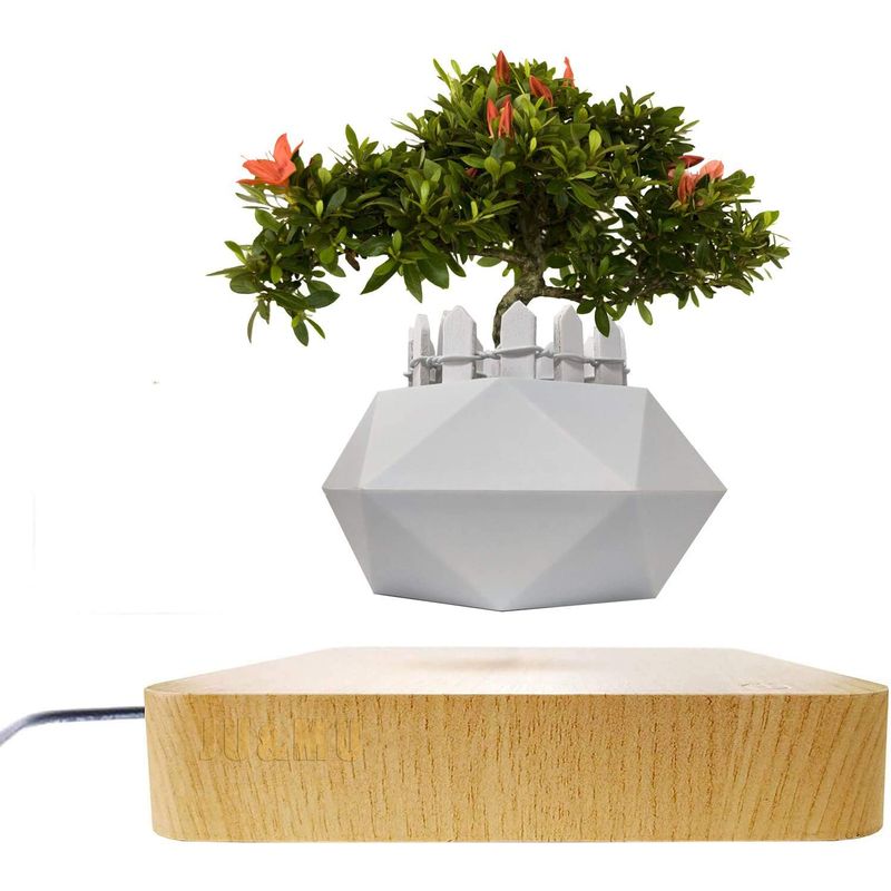 Casa si Gradina - Decoratiuni - Obiecte decorative - Accesorii decorative - Ghiveci floral levitant SpectrumPoint®, baza magnetica patrata, rotativ, alb/maro - Infinity.ro