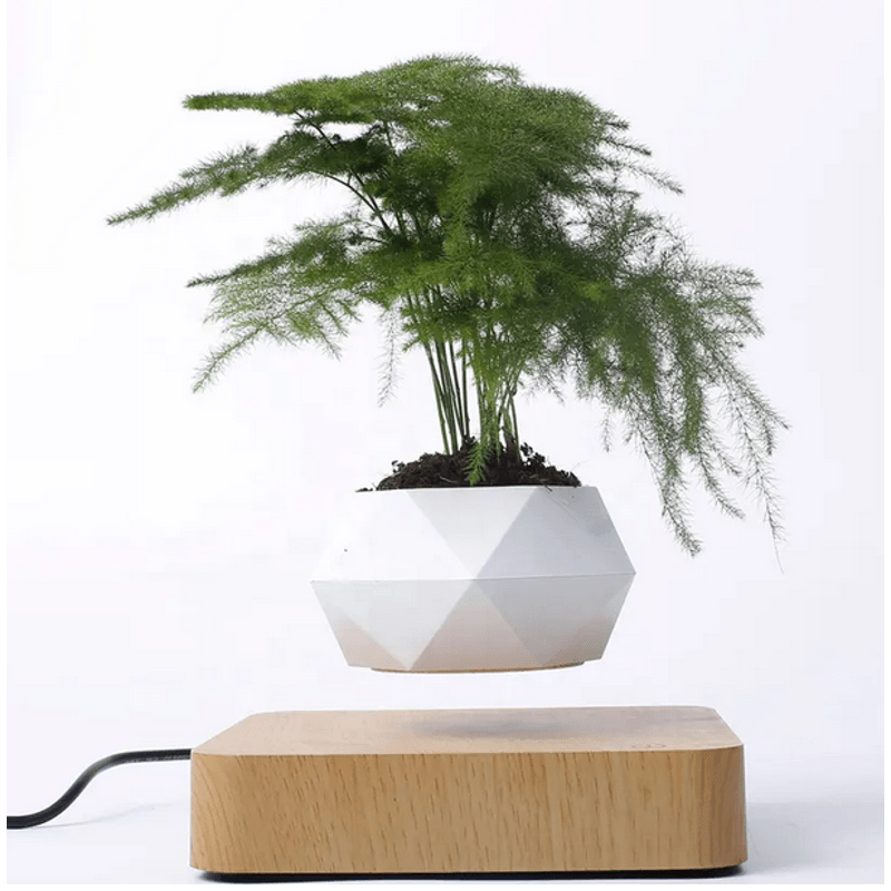 Casa si Gradina - Decoratiuni - Obiecte decorative - Accesorii decorative - Ghiveci floral levitant SpectrumPoint®, baza magnetica patrata, rotativ, alb/maro - Infinity.ro