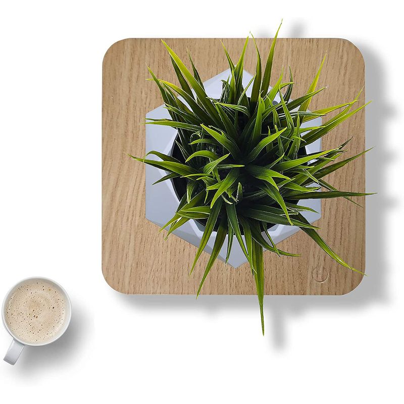 Casa si Gradina - Decoratiuni - Obiecte decorative - Accesorii decorative - Ghiveci floral levitant SpectrumPoint®, baza magnetica patrata, rotativ, alb/maro - Infinity.ro