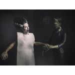 Jucarii, Copii si Bebe - Jucarii si jocuri - Figurine - Figurina articulata IdeallStore®, Bride of Frankenstein, editie de colectie, 17 cm, stativ inclus - Infinity.ro