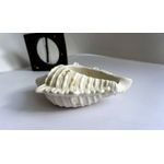 Casa si Gradina - Decoratiuni - Obiecte decorative - Accesorii decorative - Suport bijuterii scoica Big Shell alb gold - Infinity.ro