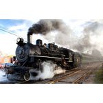 Casa si Gradina - Decoratiuni - Tablouri - Tablou canvas 75x50 cm, Locomotive model 170, Multicolor - Infinity.ro